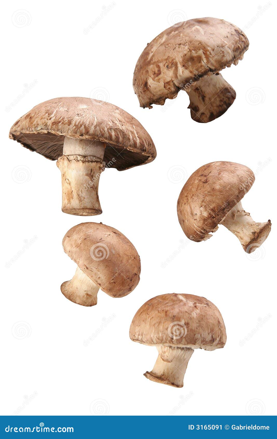 Fresh Portobellos stock image. Image of soup, recipe, food 3165091