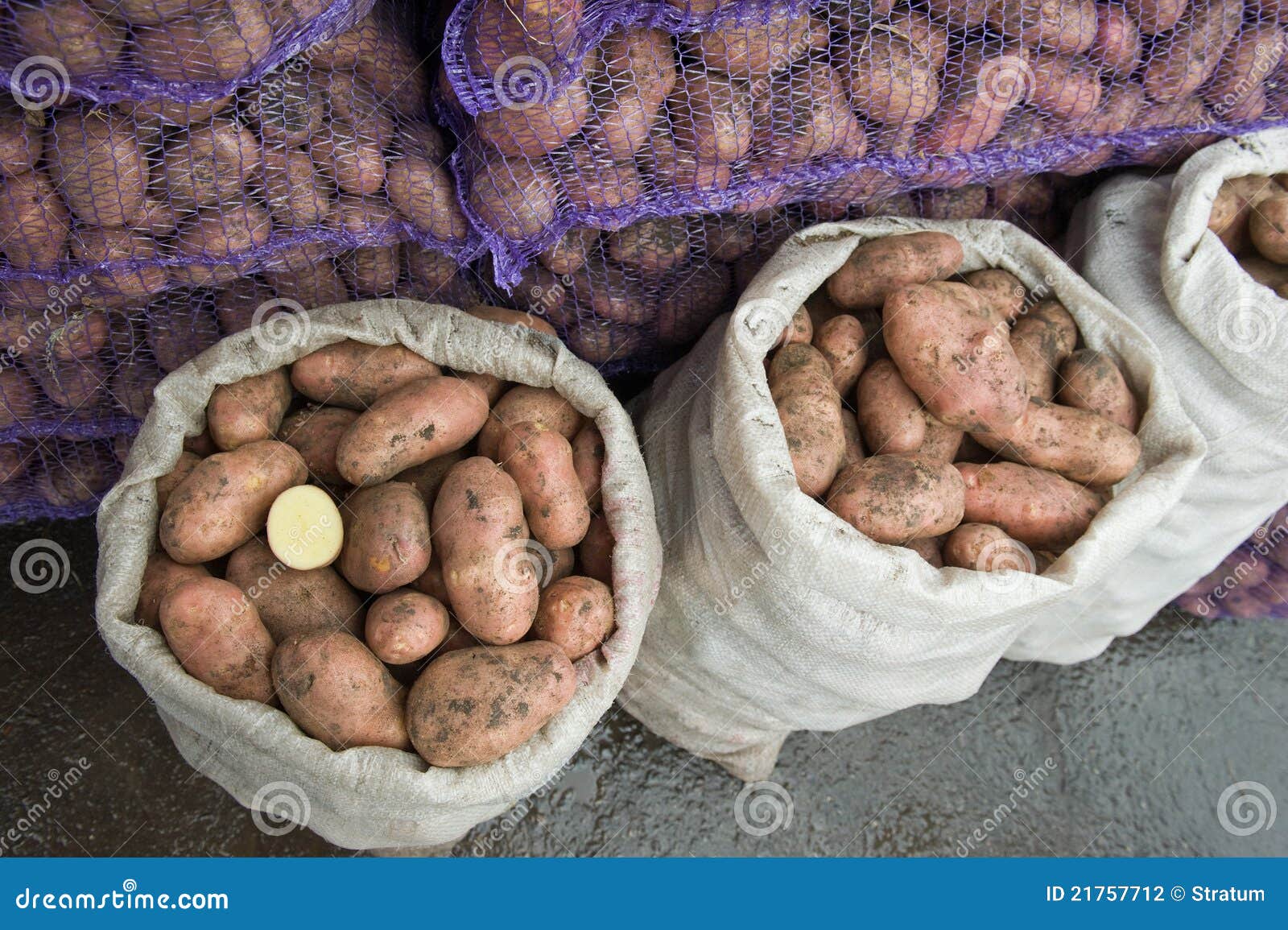 Fresh potatoes in a bags stock photo. Image of pile, potato 21757712