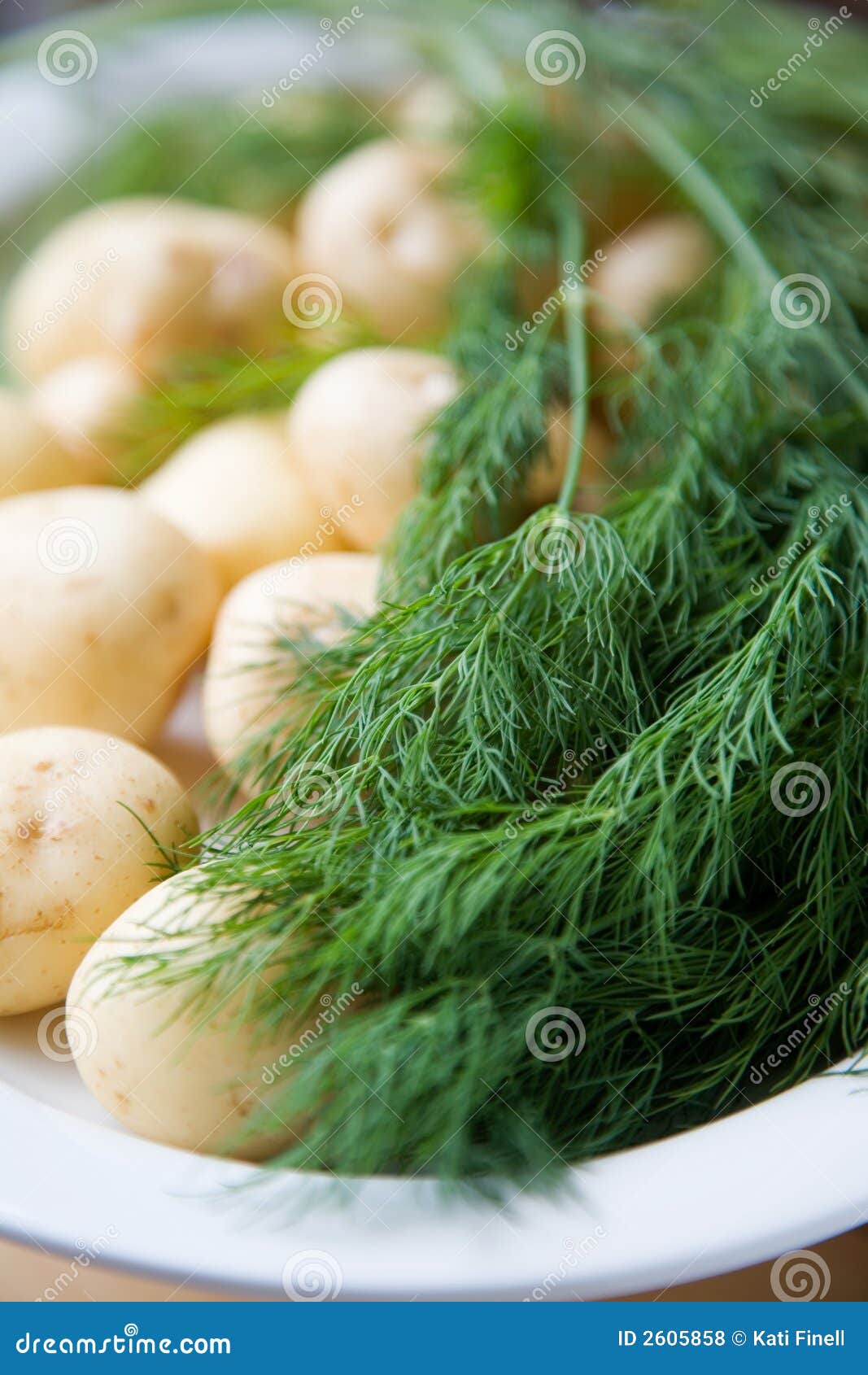 Fresh potatoes and dill stock photo. Image of vegetarian 2605858