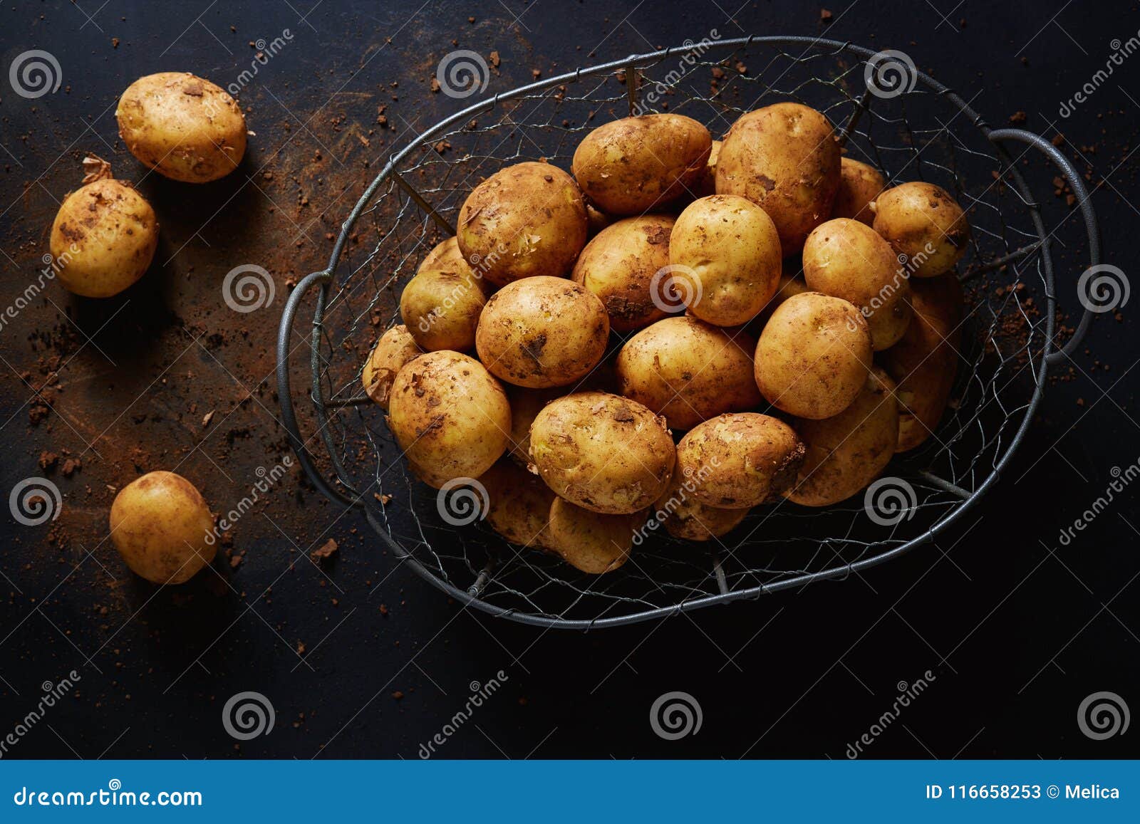 Wire Basket with Harvested Potatoes Stock Image Image of harvest, carbohydrate 116658253