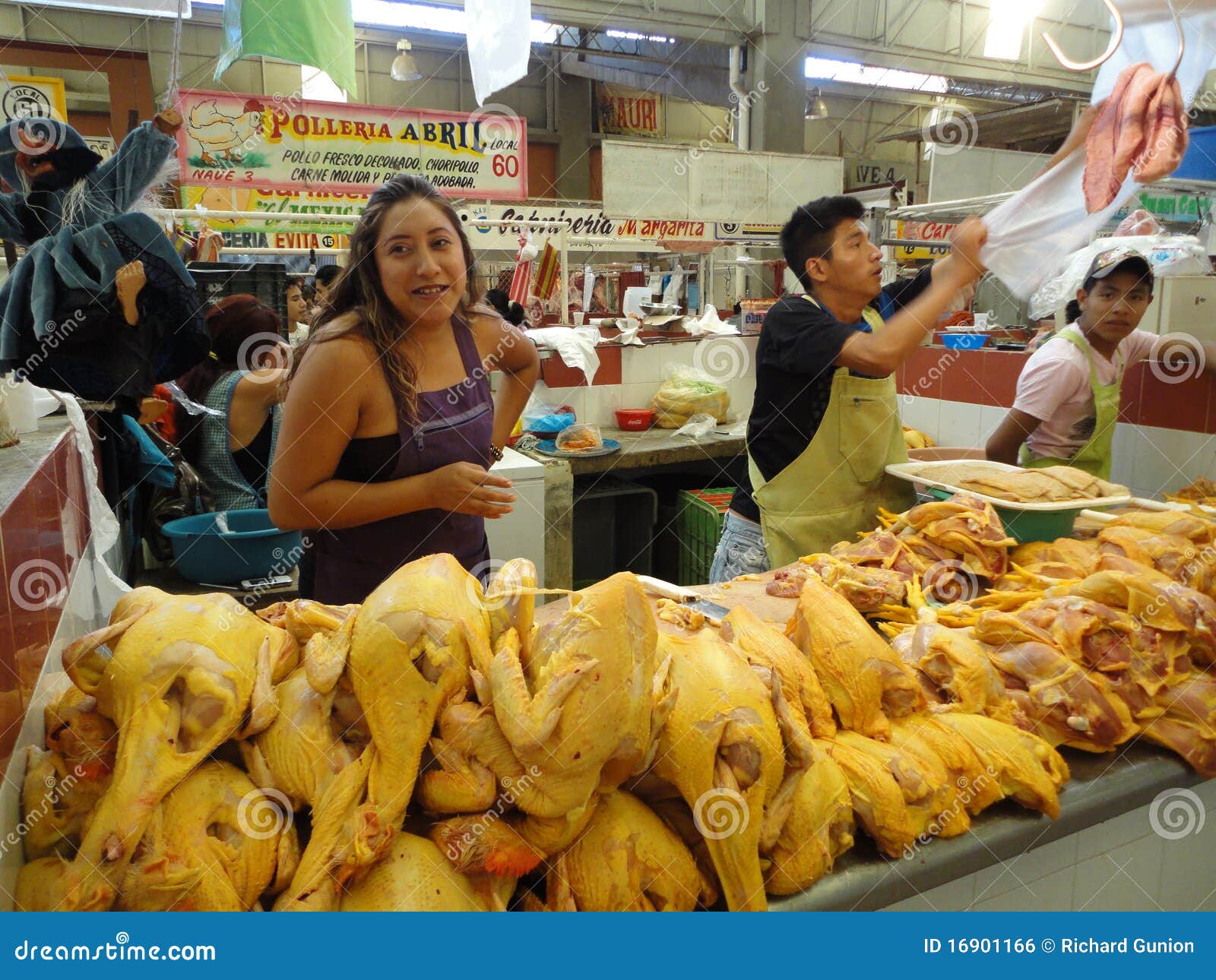 Fresh poultry for Sale editorial photo. Image of vendor 16901166