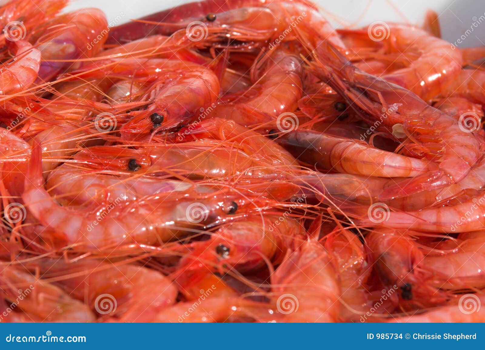 fresh prawns