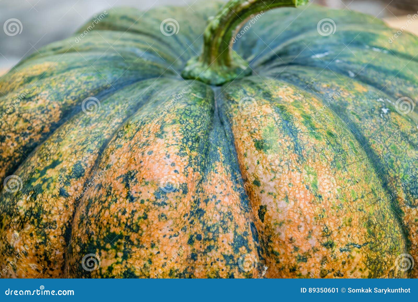 fresh pumpkin big size