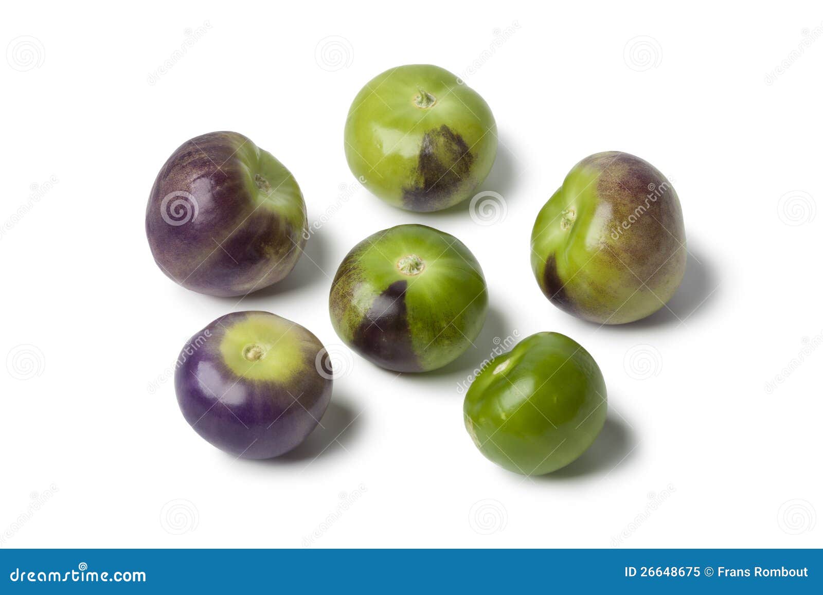 Fresh Purple and Green Tomatillos Stock Image Image of farmers