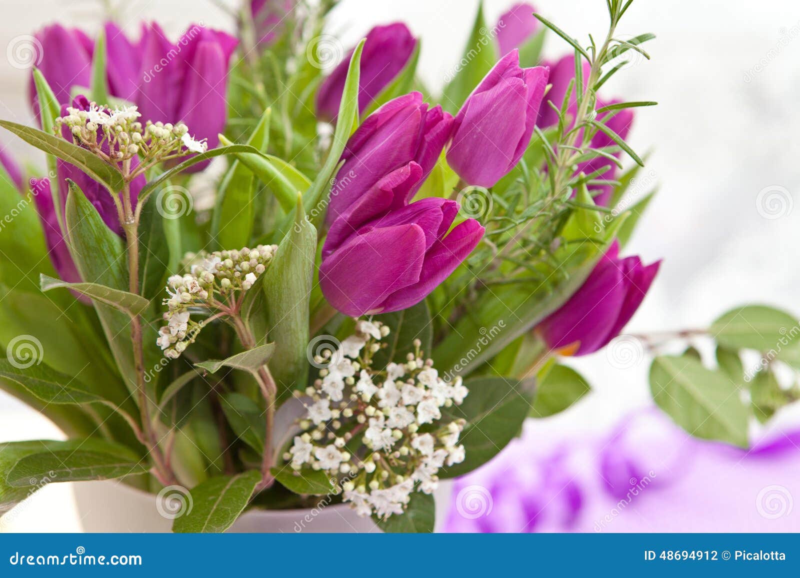 Fresh purple tulips stock photo. Image of ribbon, flowers - 48694912
