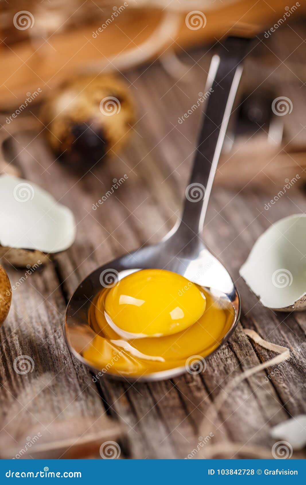 Fresh quail egg stock photo. Image of protein, eggs 103842728