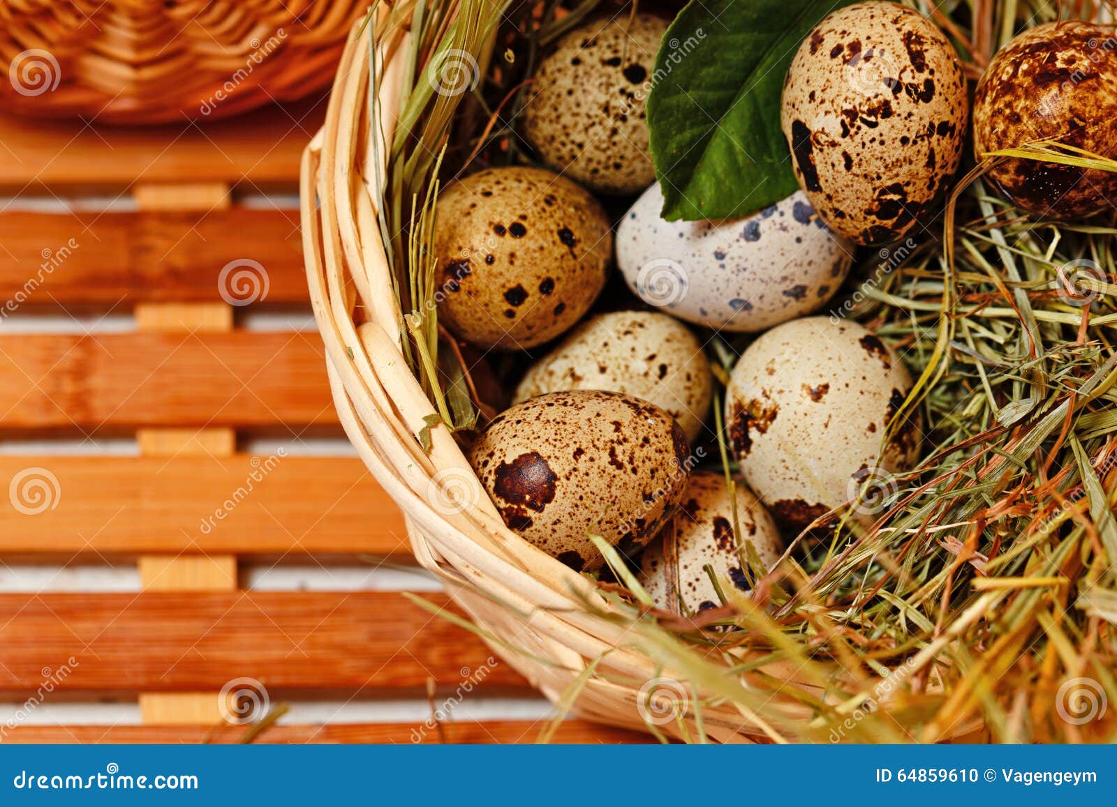 Fresh Quail Eggs in Basket. Delicacy Stock Photo Image of bird