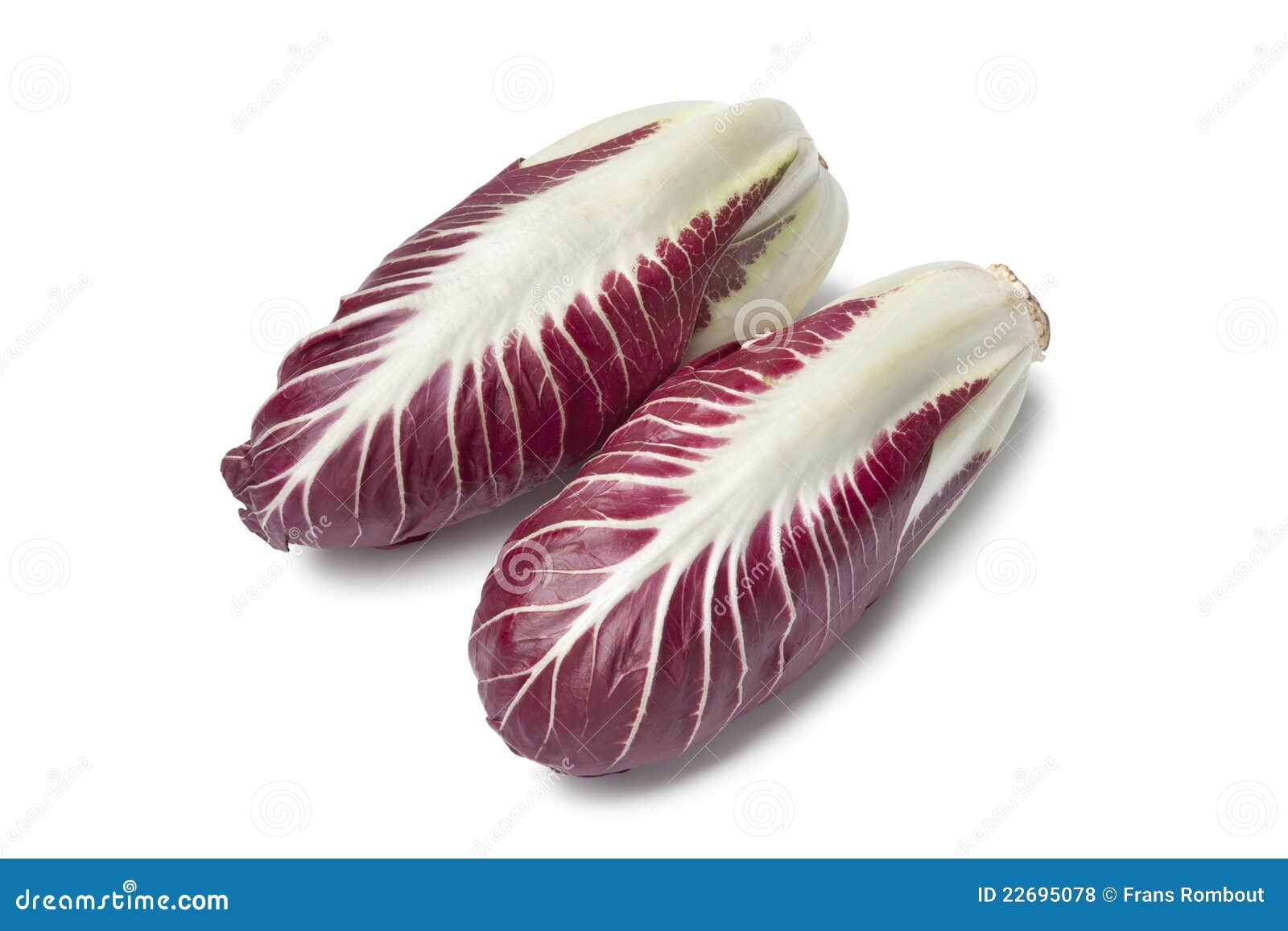 fresh radicchio rosso