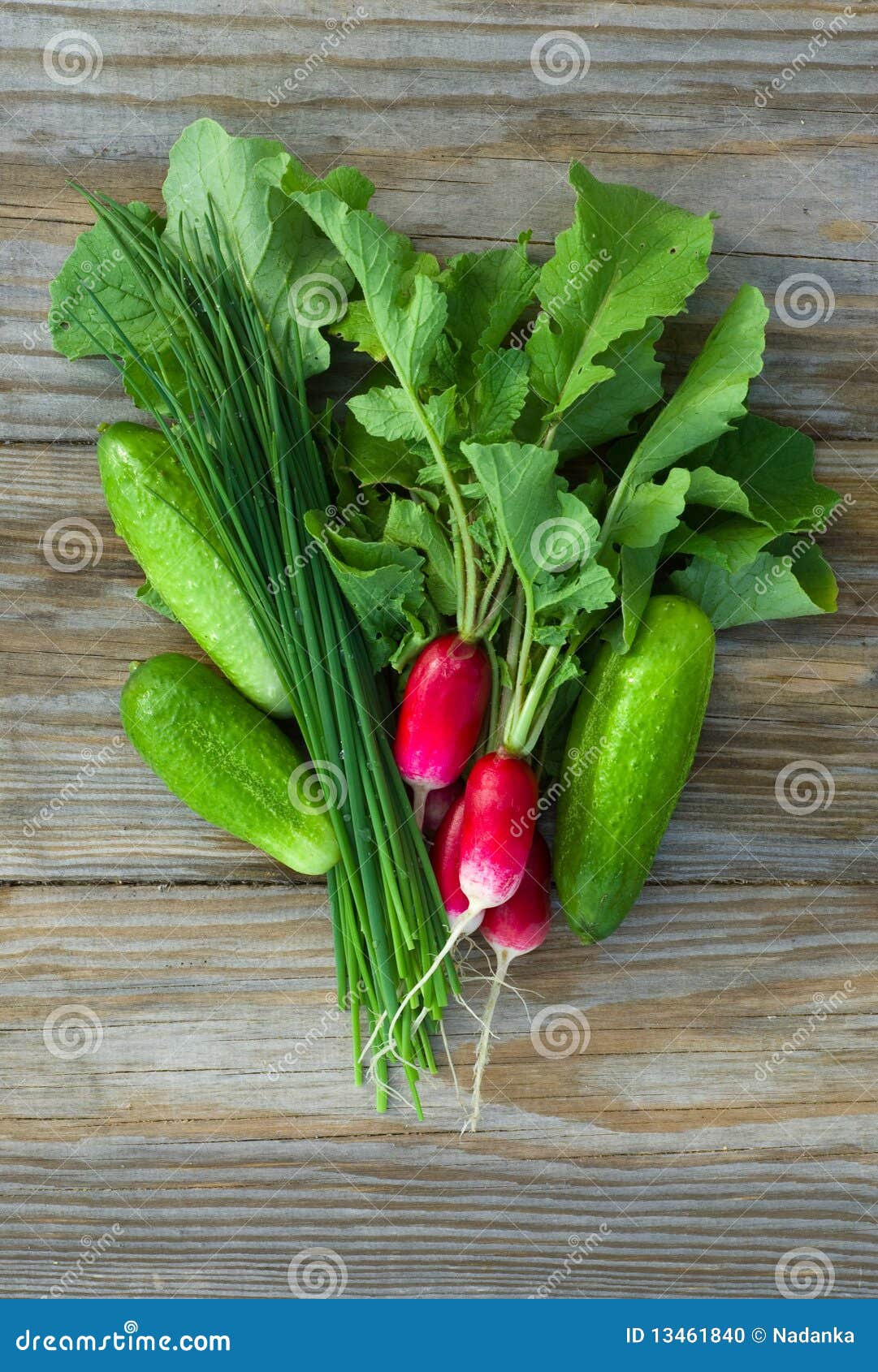 Fresh Radish, Cucumbers and Chives Stock Photo Image of potherbs