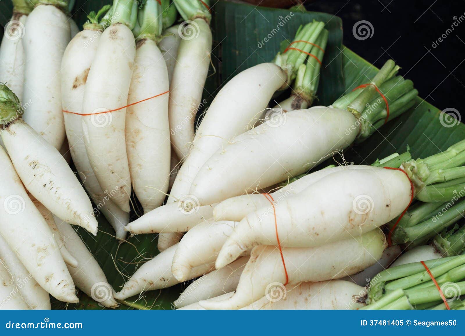 Fresh radish in the market stock image. Image of group 37481405