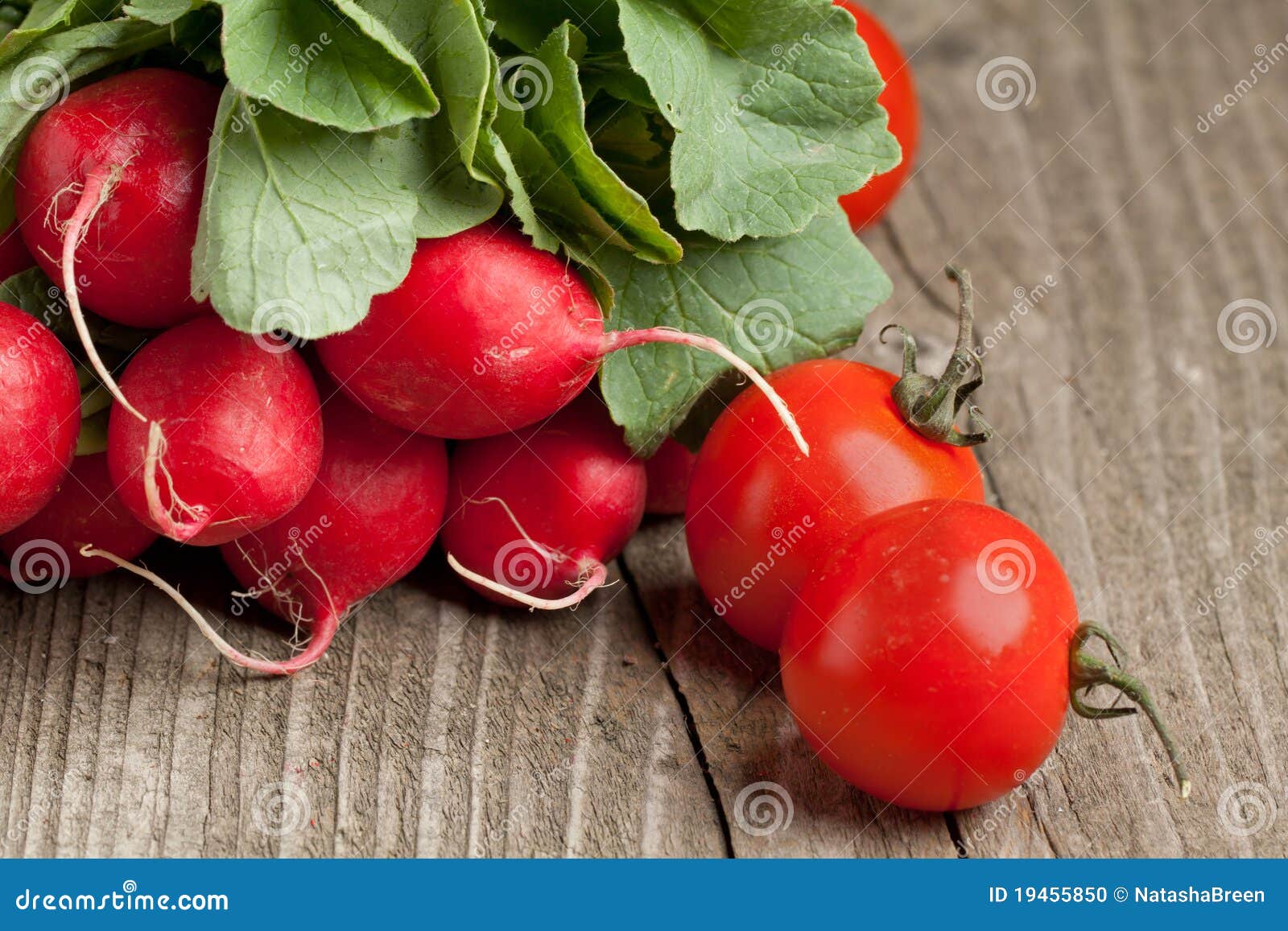 Fresh radishes and tomato stock photo. Image of organic 19455850