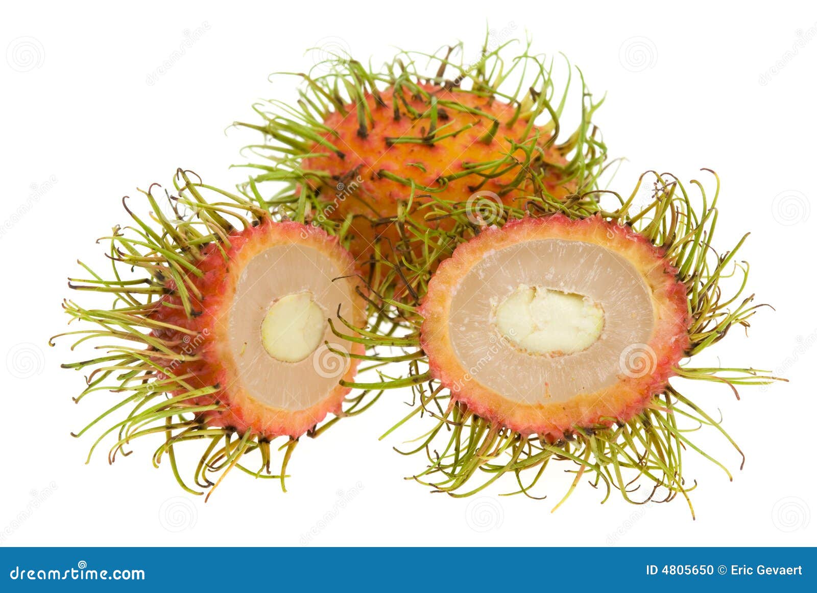 Fresh rambutan stock photo. Image of oriental, nutrients - 4805650
