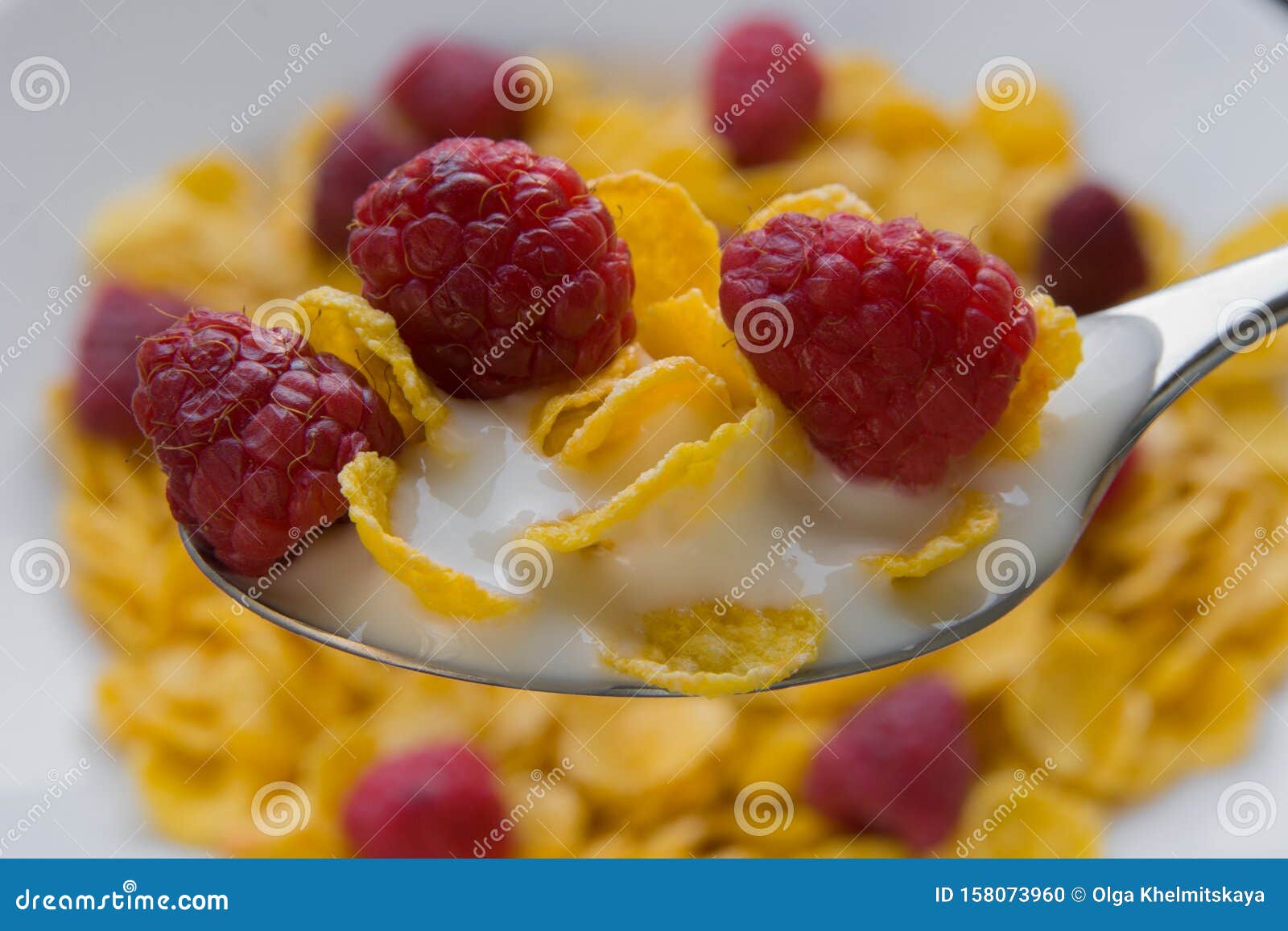 Fresh Raspberries with Corn Flakes with Diet Yogurt Stock Photo Image