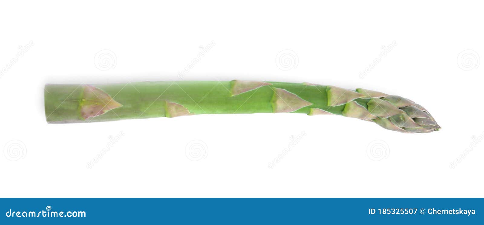 Fresh Raw Asparagus Isolated. Healthy Eating Stock Image Image of