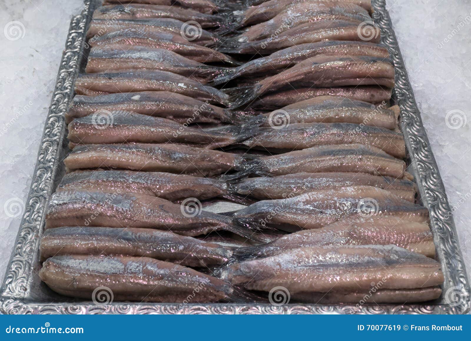 Fresh Raw Cleaned Dutch Herring Stock Photos Free & RoyaltyFree Stock Photos from Dreamstime