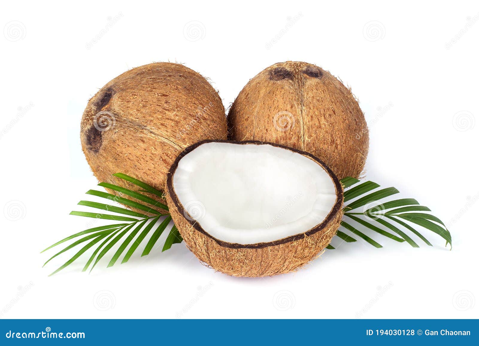 Fresh Raw Coconut with Palm Leaves Isolated on White Background Stock