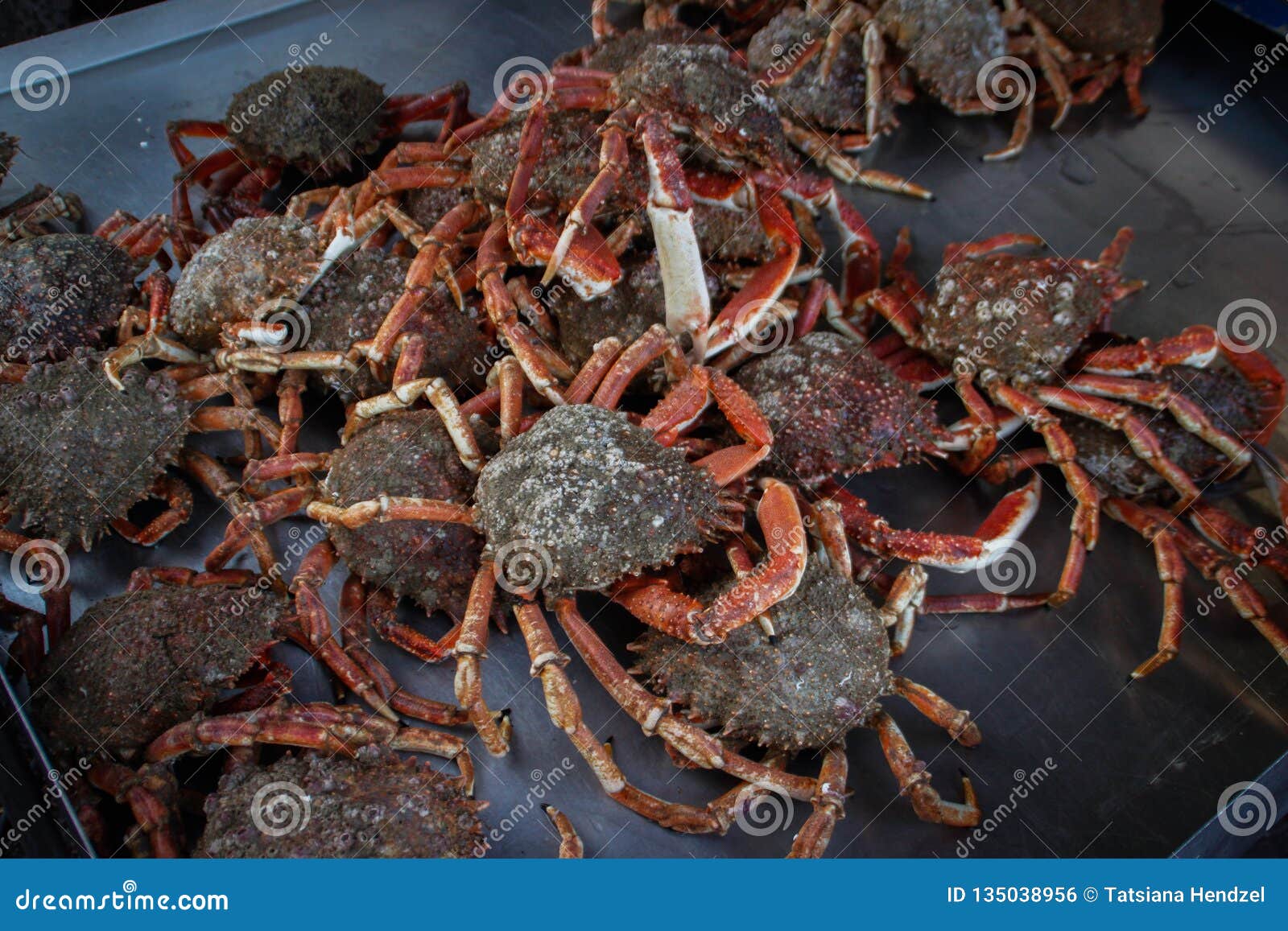Fresh, Raw Crabs Lie on the Counter Near the Coast of the Kelst Sea