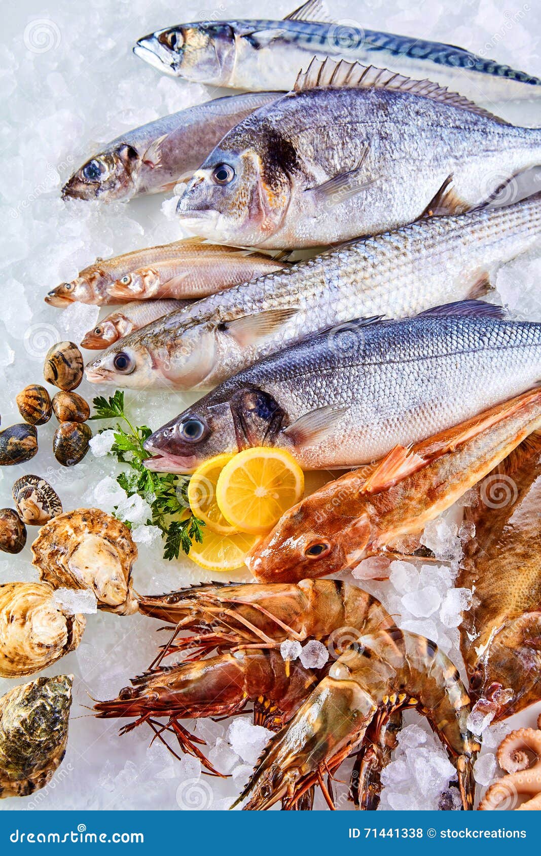 cold seafood display