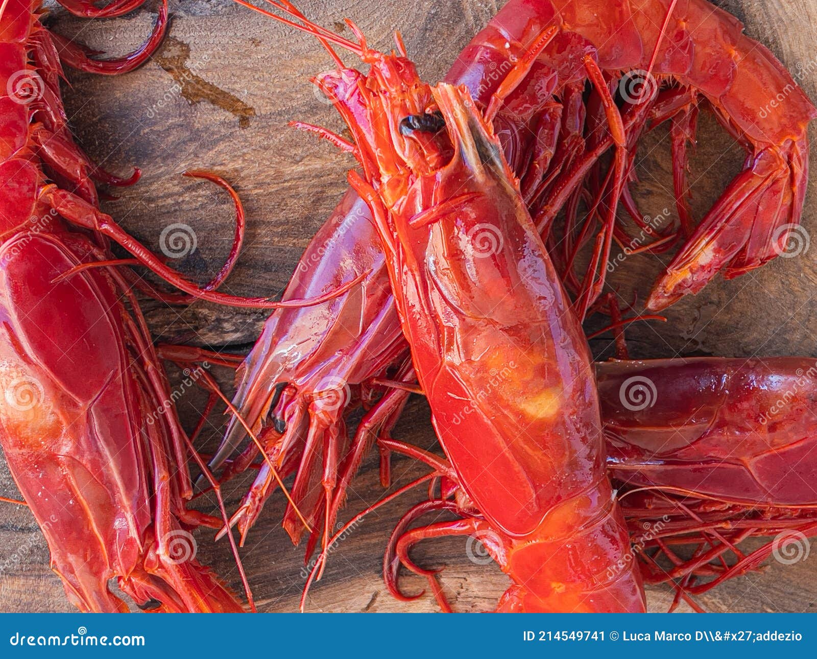 Afvise medier Legitimationsoplysninger Fresh Raw Giant Red Carabineros Prawns Stock Image - Image of delicacy,  crustacean: 214549741