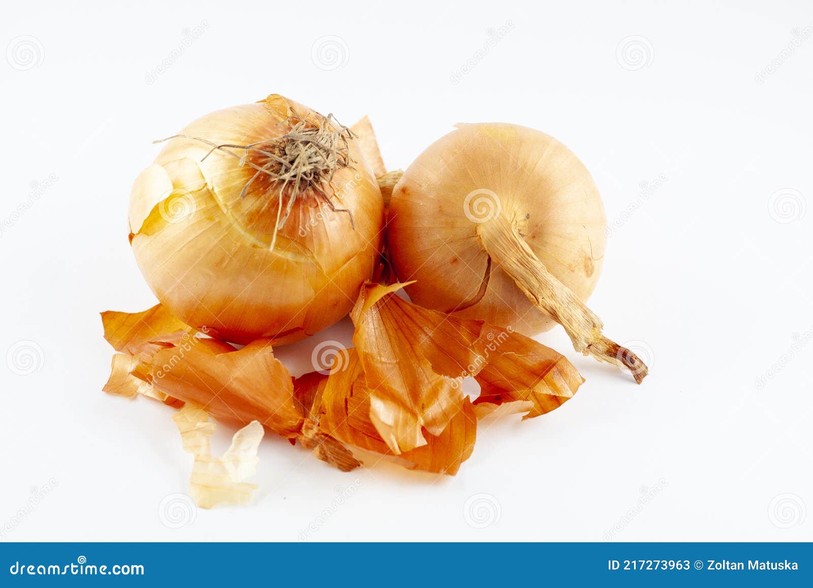 fresh raw golden onion with onionskin, organic food vegetable,  object
