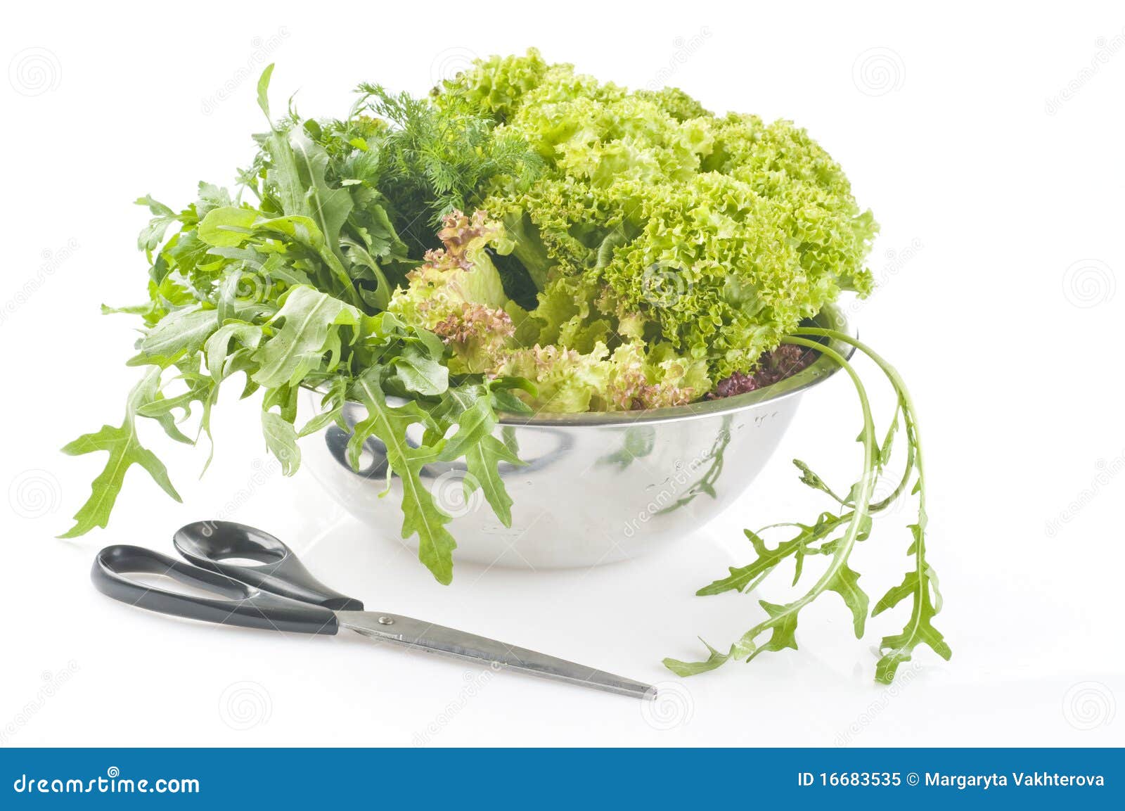 Fresh Raw Herbs and Vegetables Stock Image Image of herb, eating
