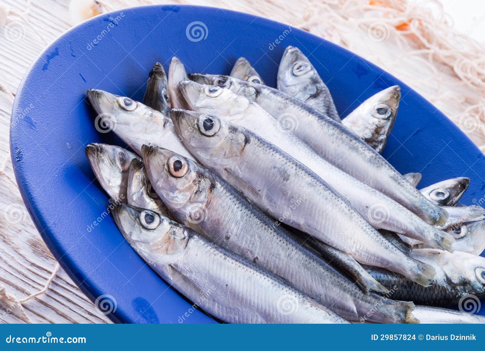 Herrings stock photo. Image of food, fang, maritime, freshness 29857824