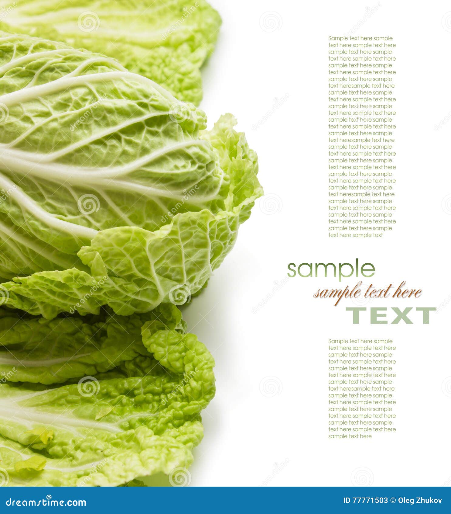 Fresh Raw Lettuce and Herbs Stock Image Image of herbaceous, herbs