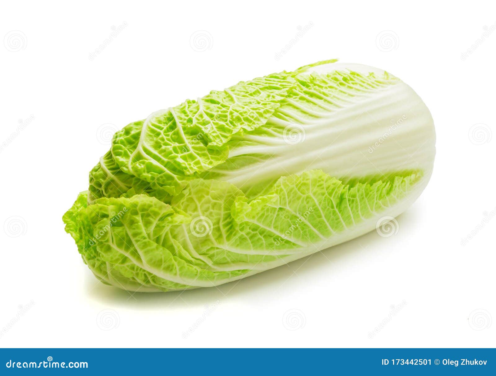 Fresh Raw Lettuce and Herbs Stock Image Image of appetizer, diet