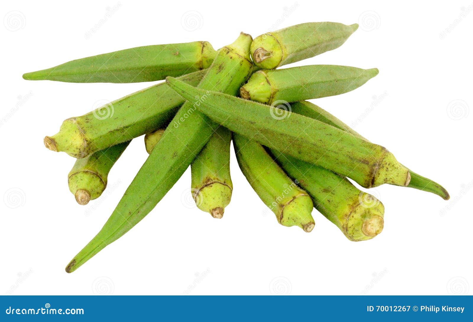 Fresh Raw Okra stock image. Image of white, healthy, green 70012267
