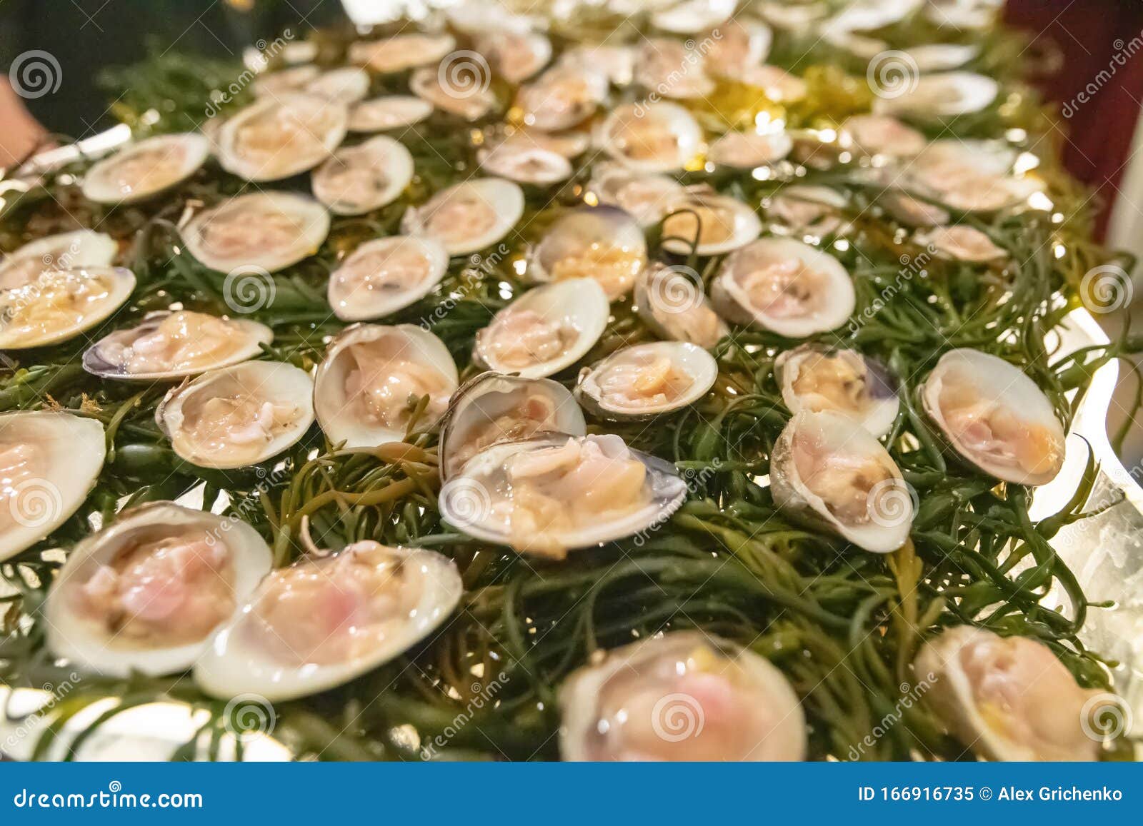 Fresh Raw Oyster Bar at an Event Party Stock Image Image of date