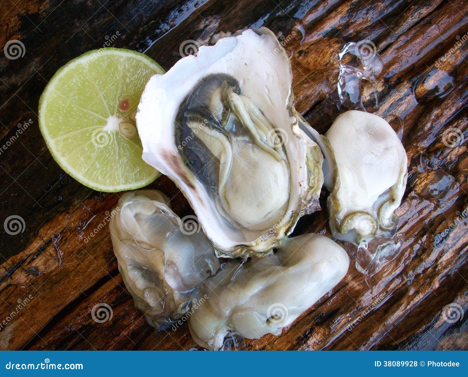 Fresh raw oysters stock photo. Image of taste, lemon 38089928