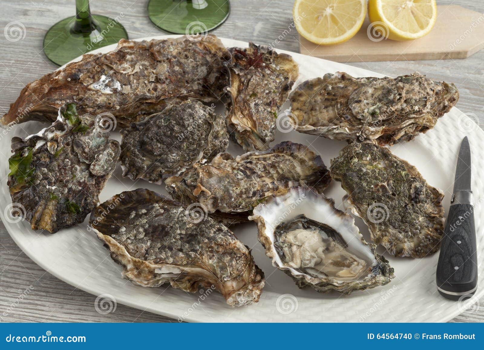 Fresh raw pacific oysters stock photo. Image of oysters 64564740