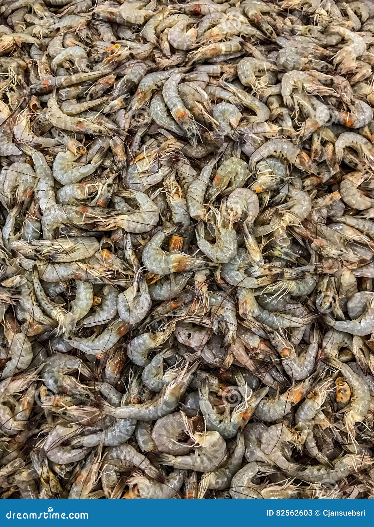 Fresh raw prawn, shrimp stock image. Image of delicious 82562603