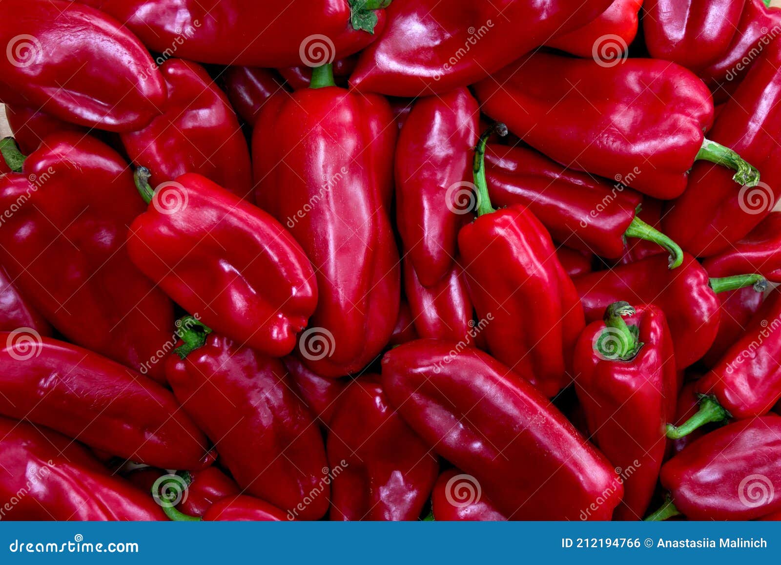 fresh raw red bell peppers  capsicum annuum . texture, background. top view, flat lay