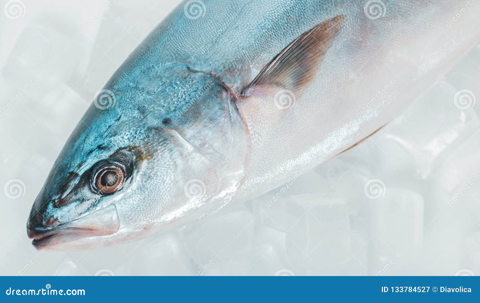 Fresh raw tuna fish stock image. Image of tasty, seafood 133784527
