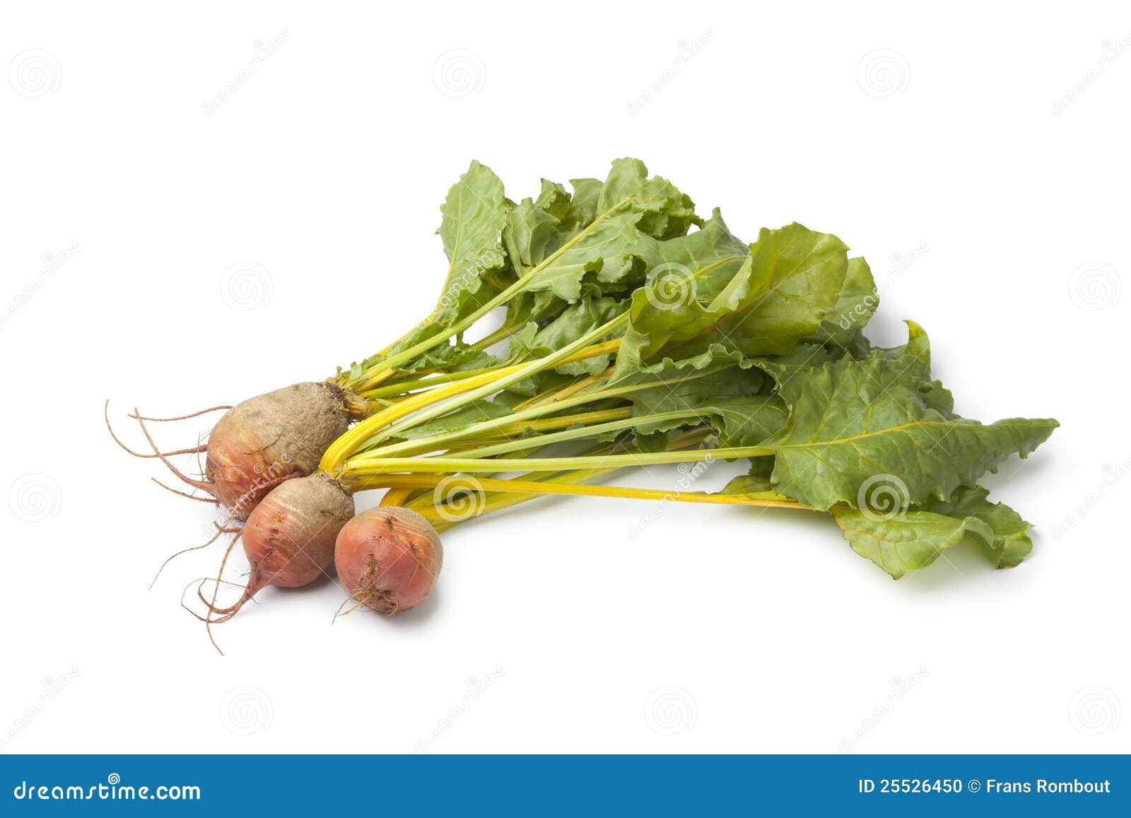 Fresh raw yellow beets stock photo. Image of garden, nature 25526450