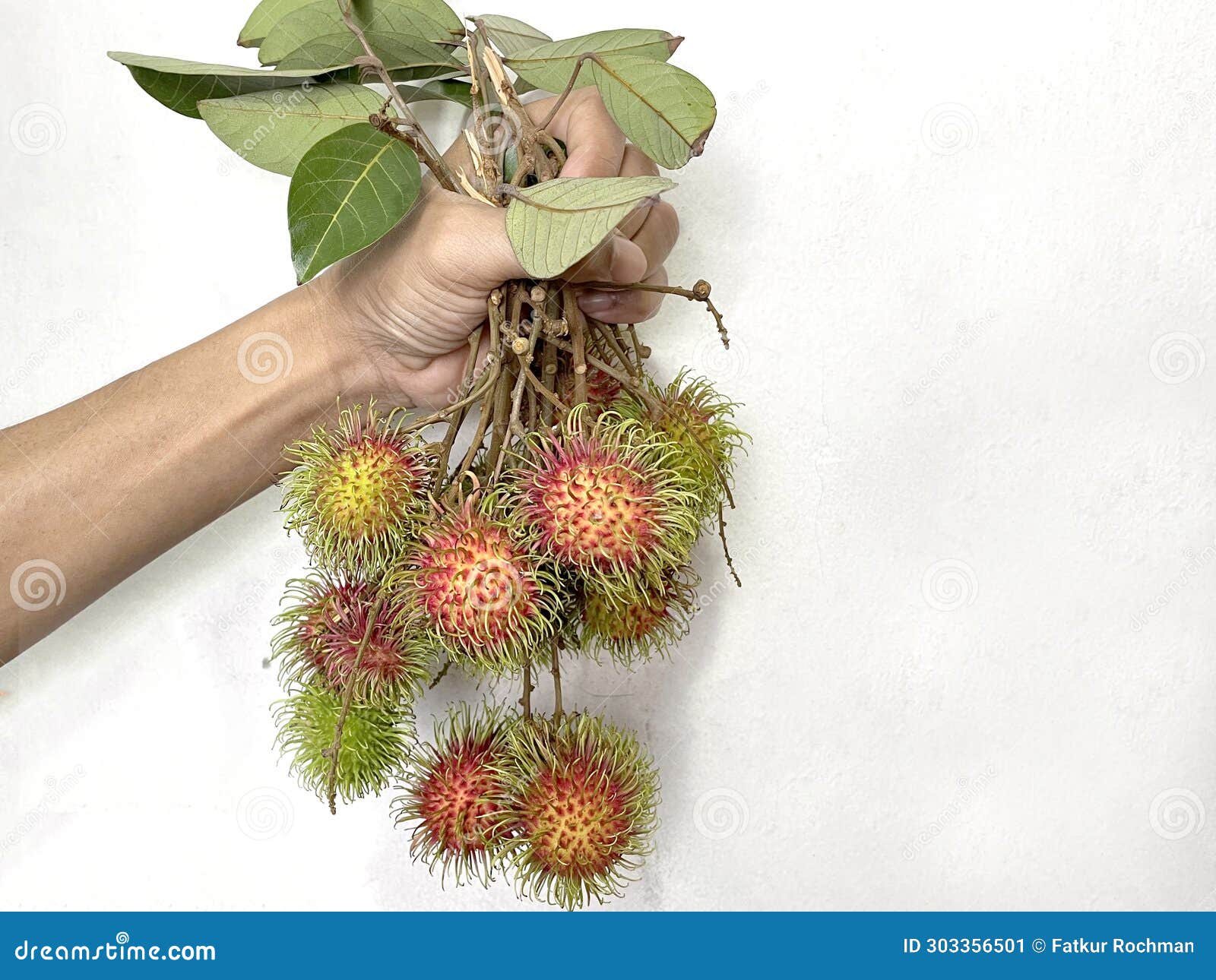 fresh rea man's hand holding a rambutan fruit