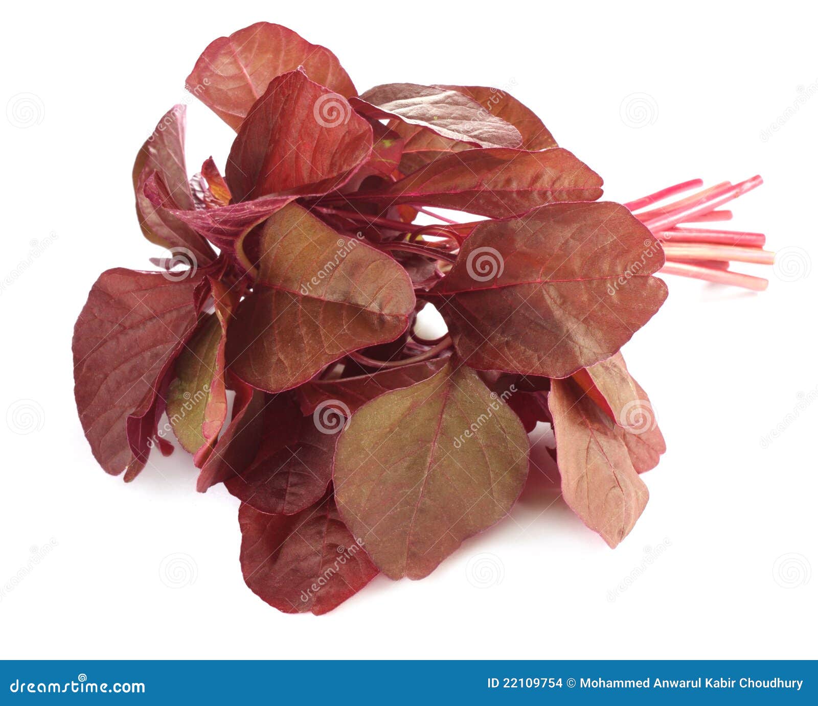 Fresh Red Amaranth or Red Spinach Stock Photo Image of china, herb