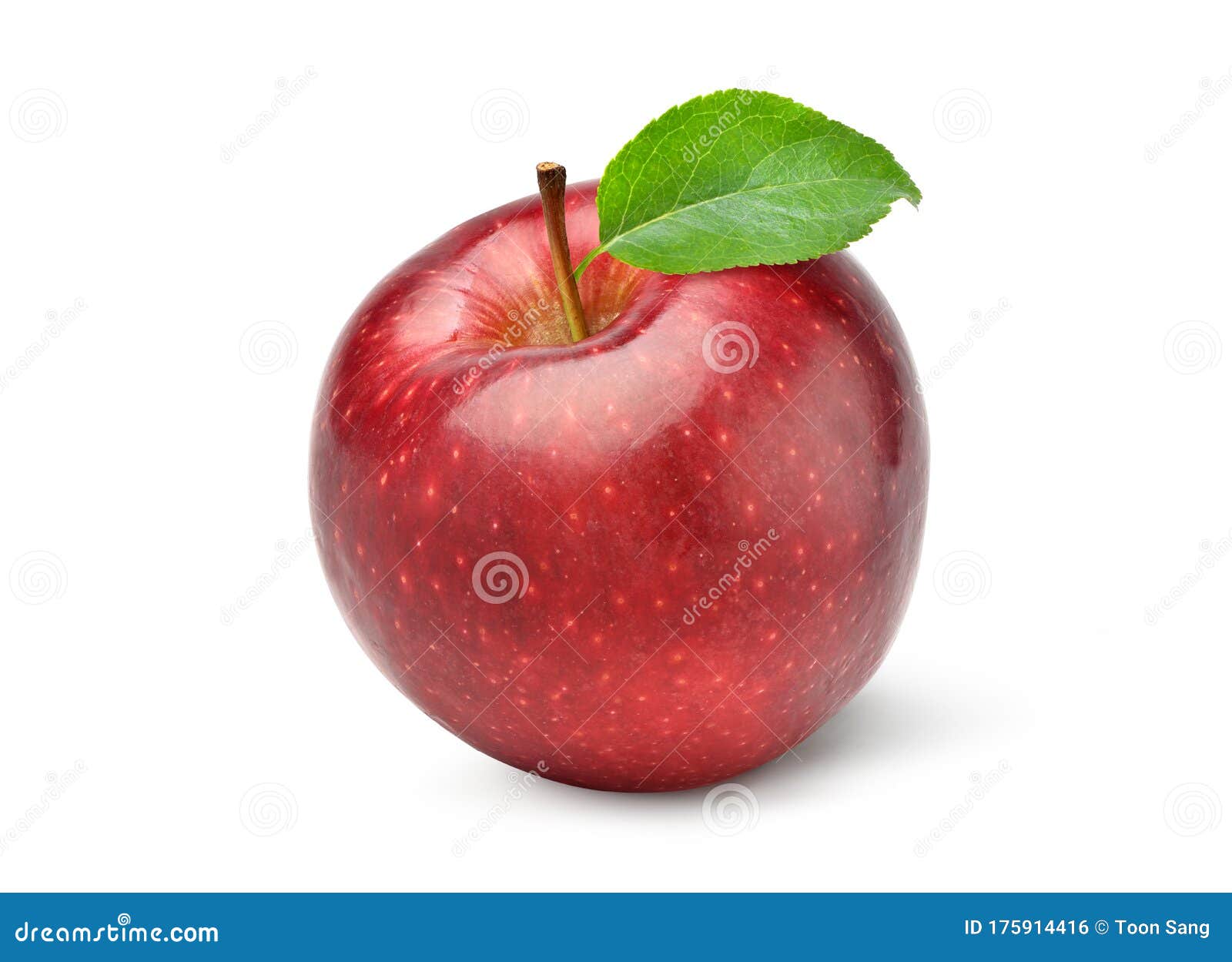 423,706 Red Apple Stock Photos - Free & Royalty-Free Stock Photos from  Dreamstime