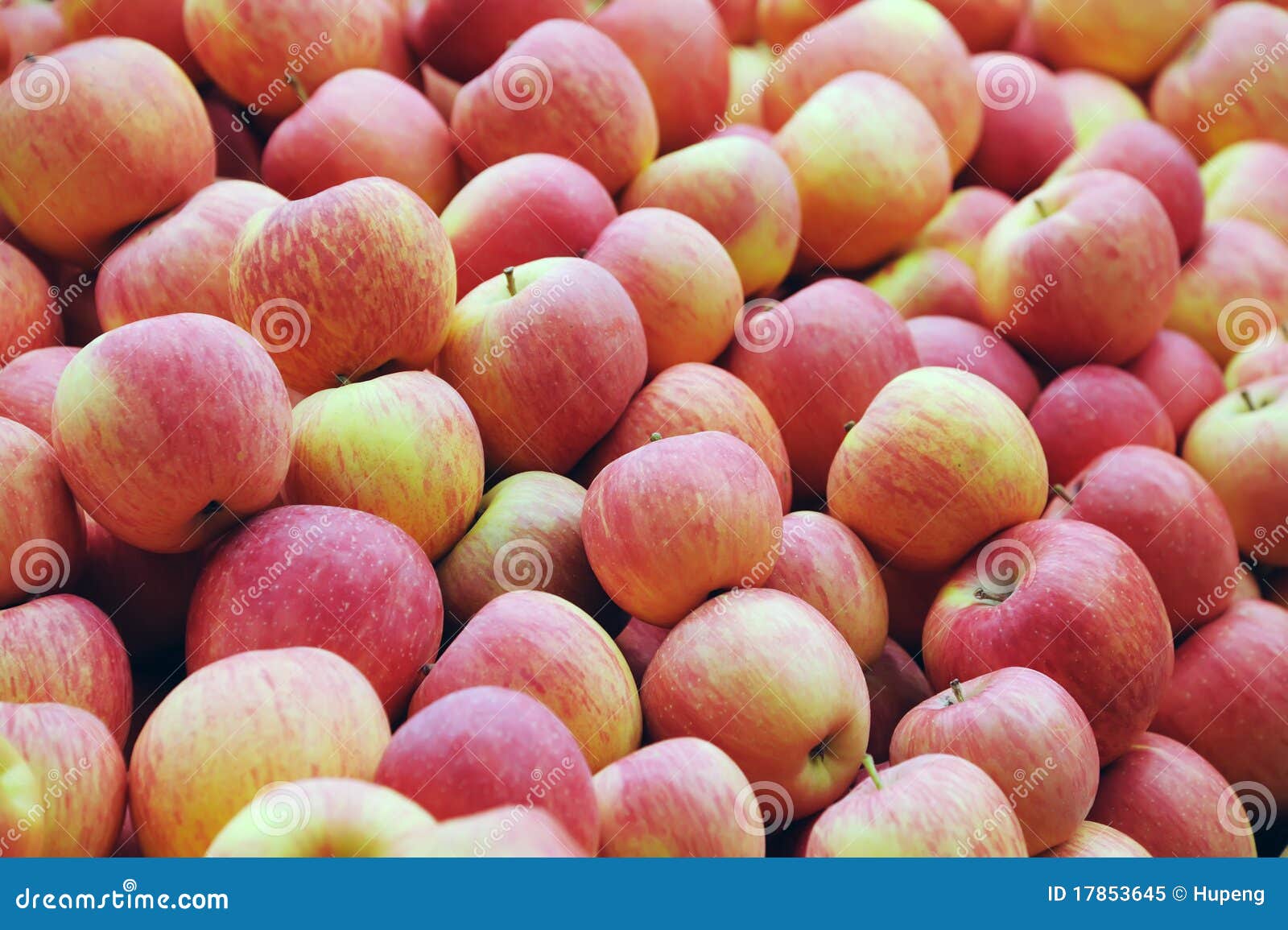 Fresh red apples stock image. Image of grove, choice 17853645