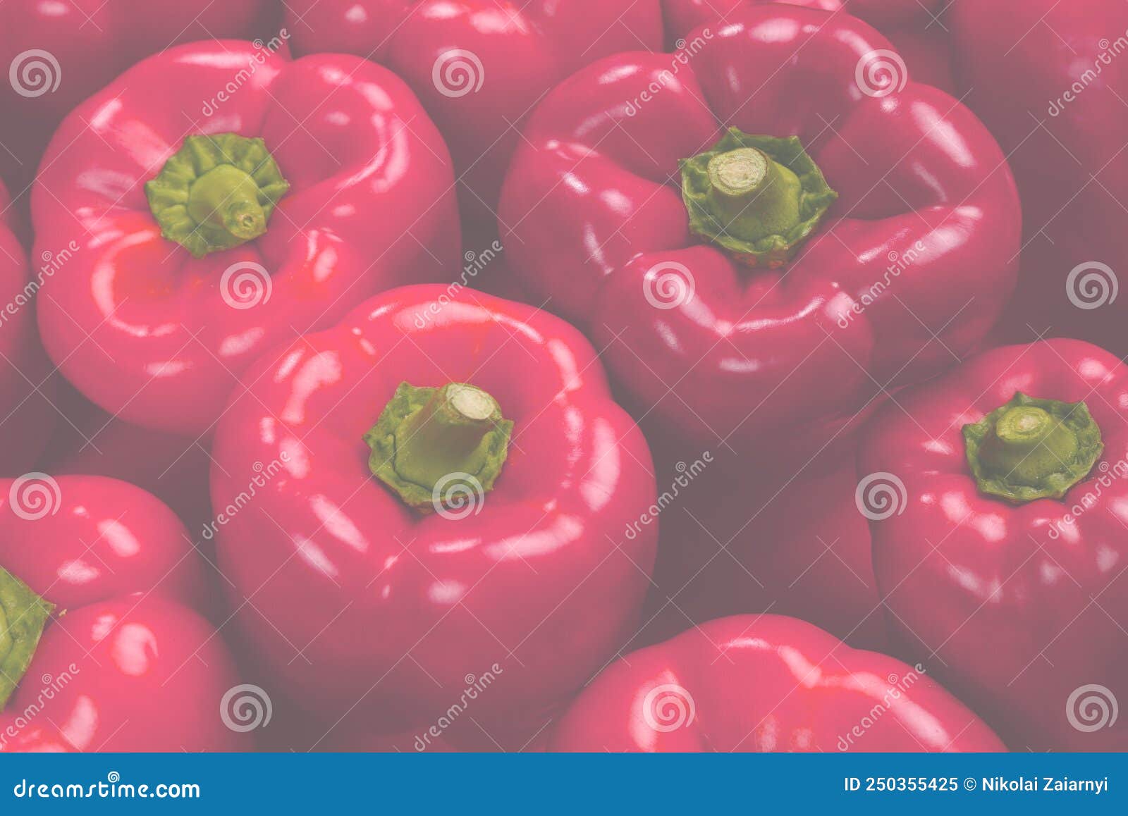 Fresh Red Bell Pepper Background Stock Image Image of nature