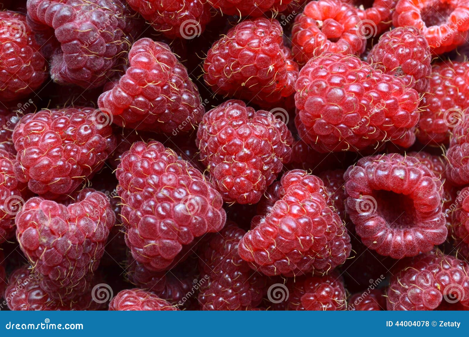 Fresh red berry fruits stock photo. Image of dieting 44004078