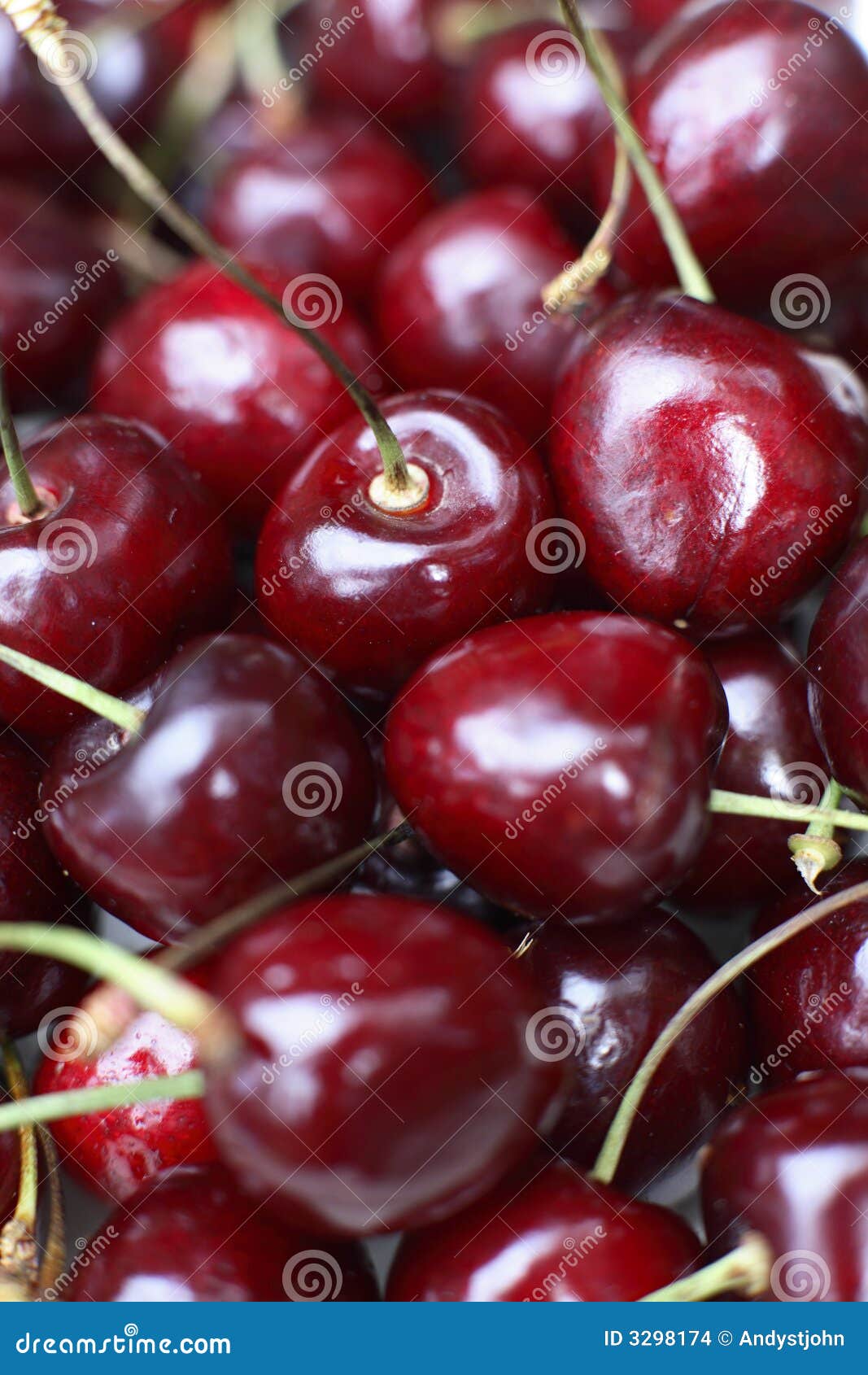 Fresh Red Cherries stock photo. Image of health, organic 3298174