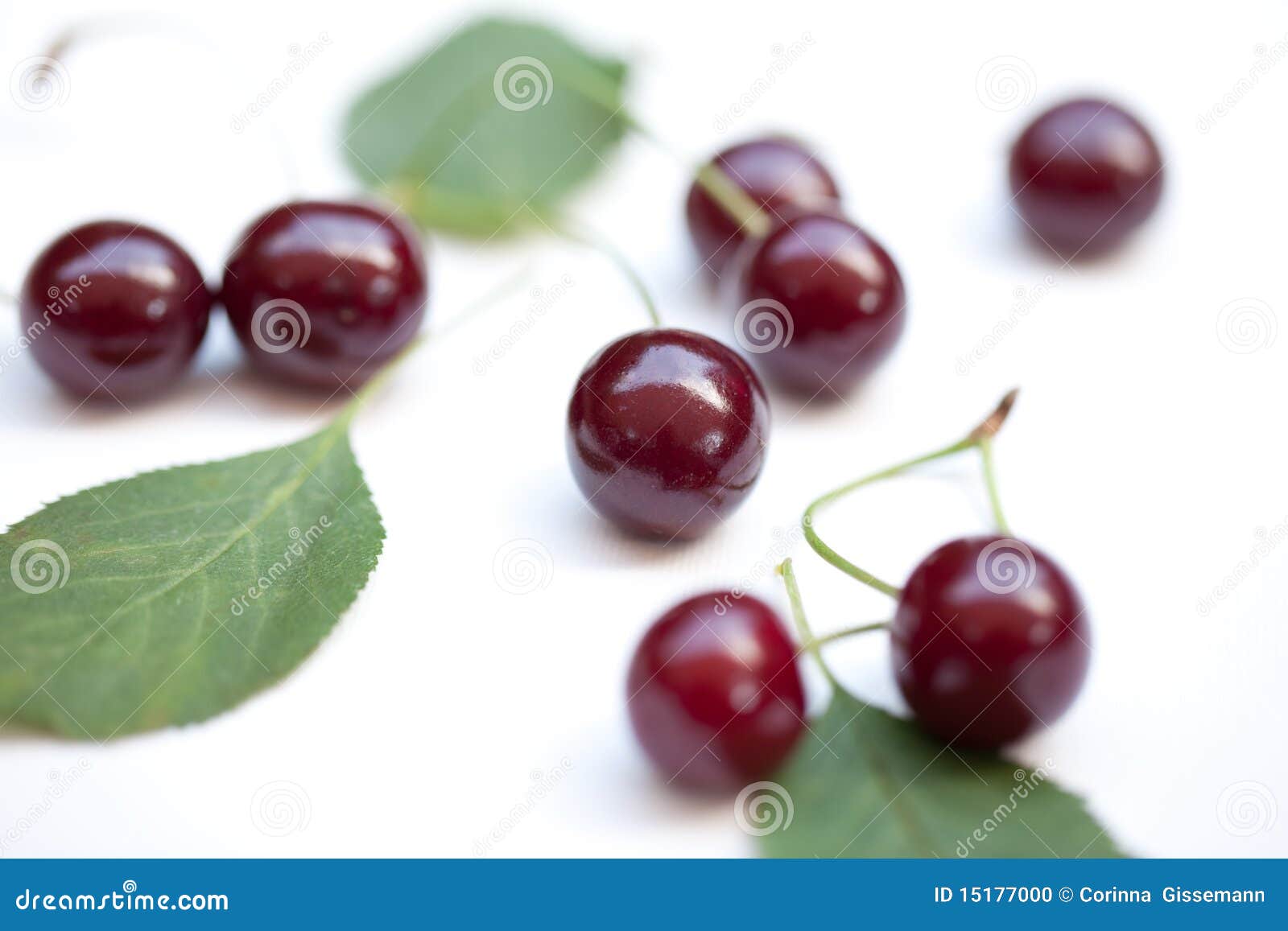 Fresh red cherry stock photo. Image of vegetarian, nutrition - 15177000