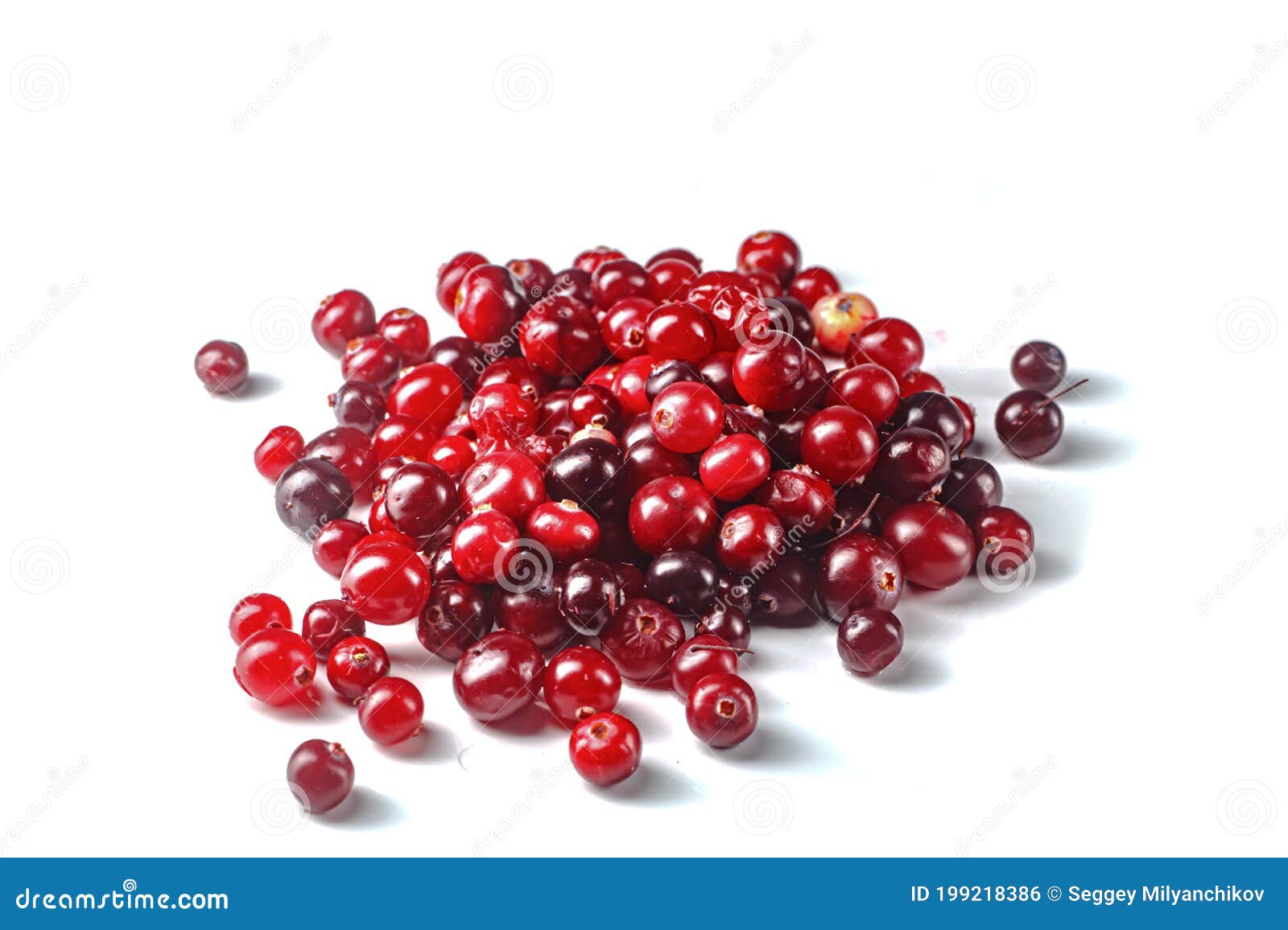 Fresh Red Cranberries Lie on a White Background. Stock Photo Image of