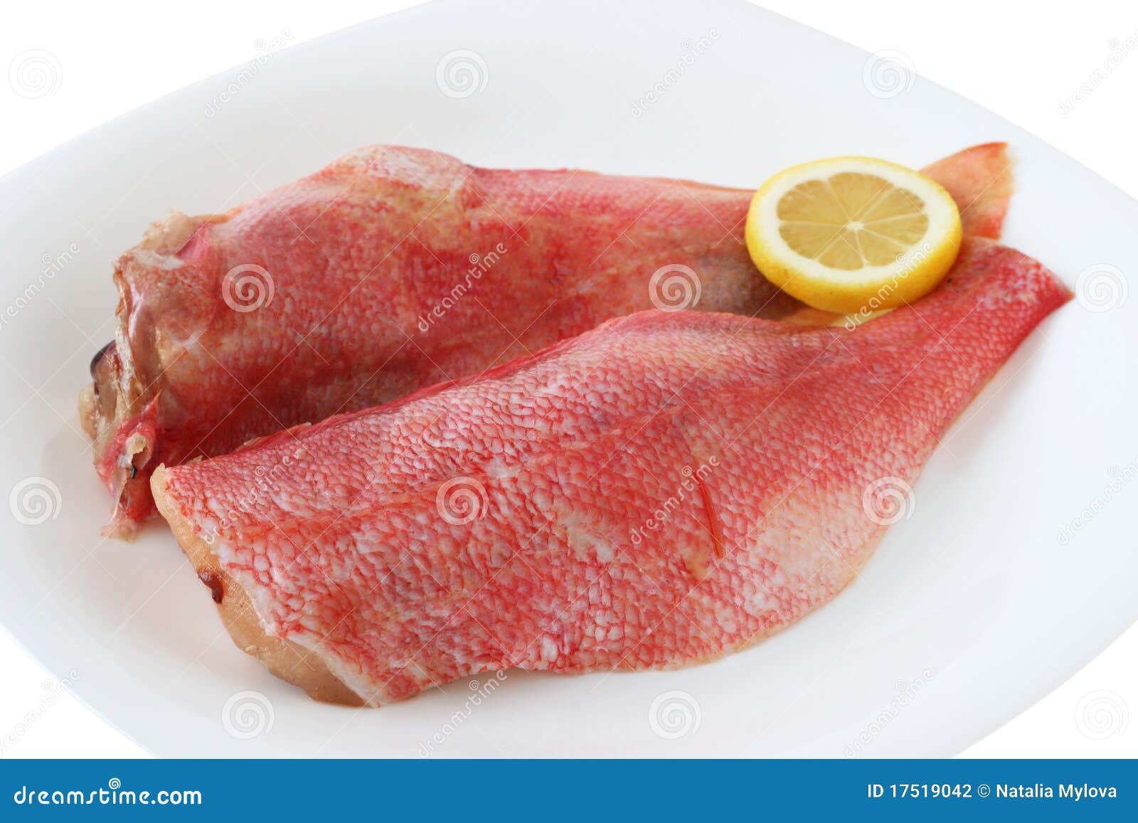 Fresh red fish stock photo. Image of dinner, fish, lunch 17519042