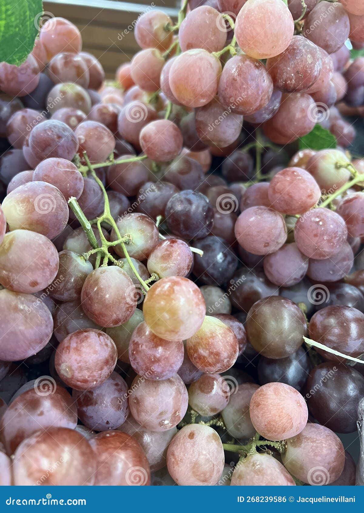 Fresh red globe grape stock photo. Image of full, grape 268239586