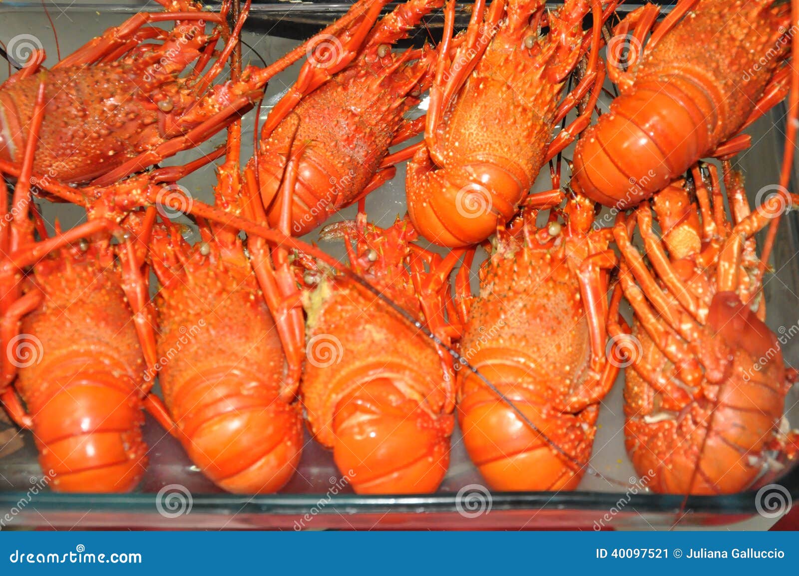 Fresh red lobsters stock image. Image of animal, feet 40097521