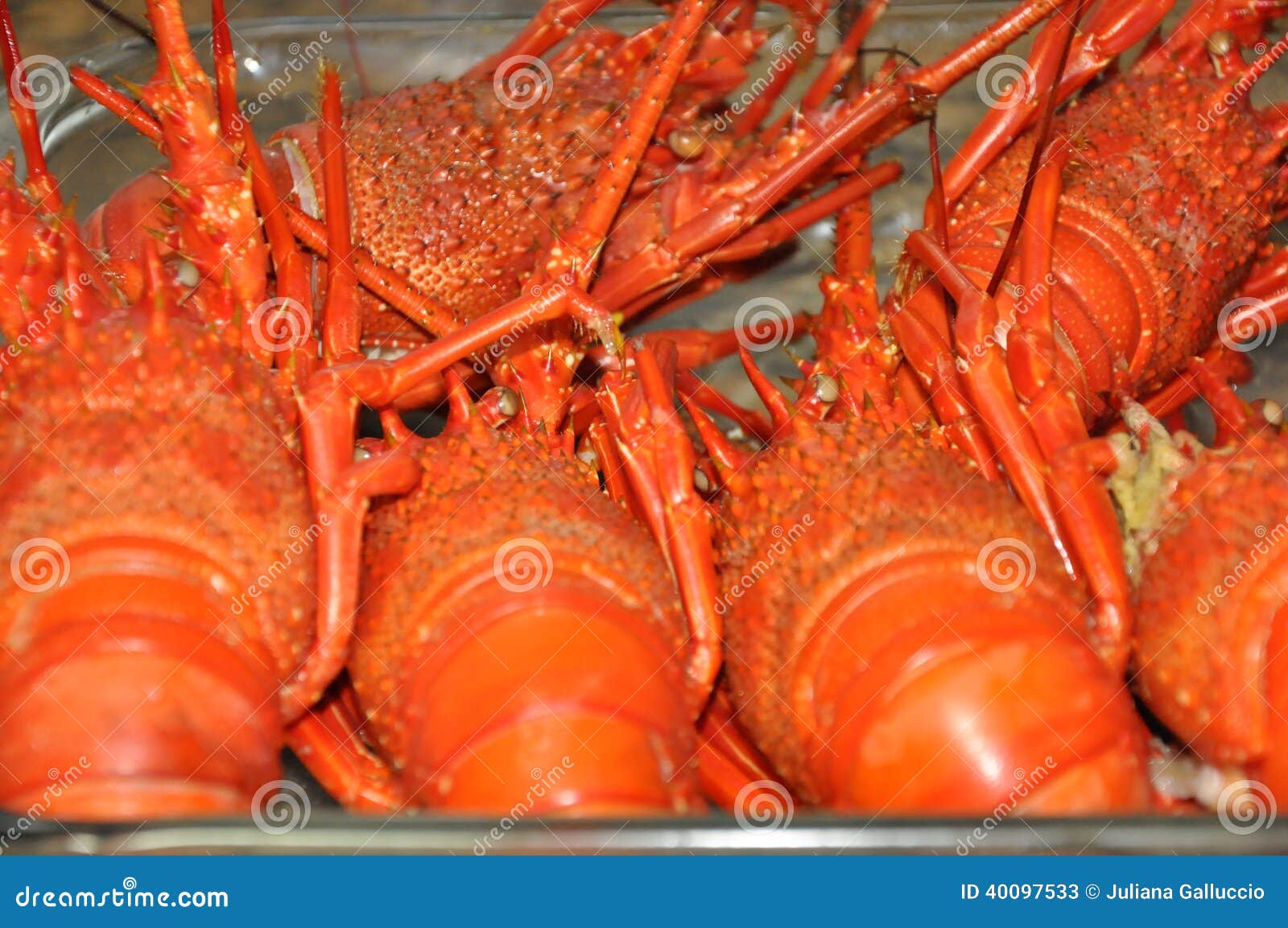 Fresh red lobsters stock image. Image of fish, shell 40097533
