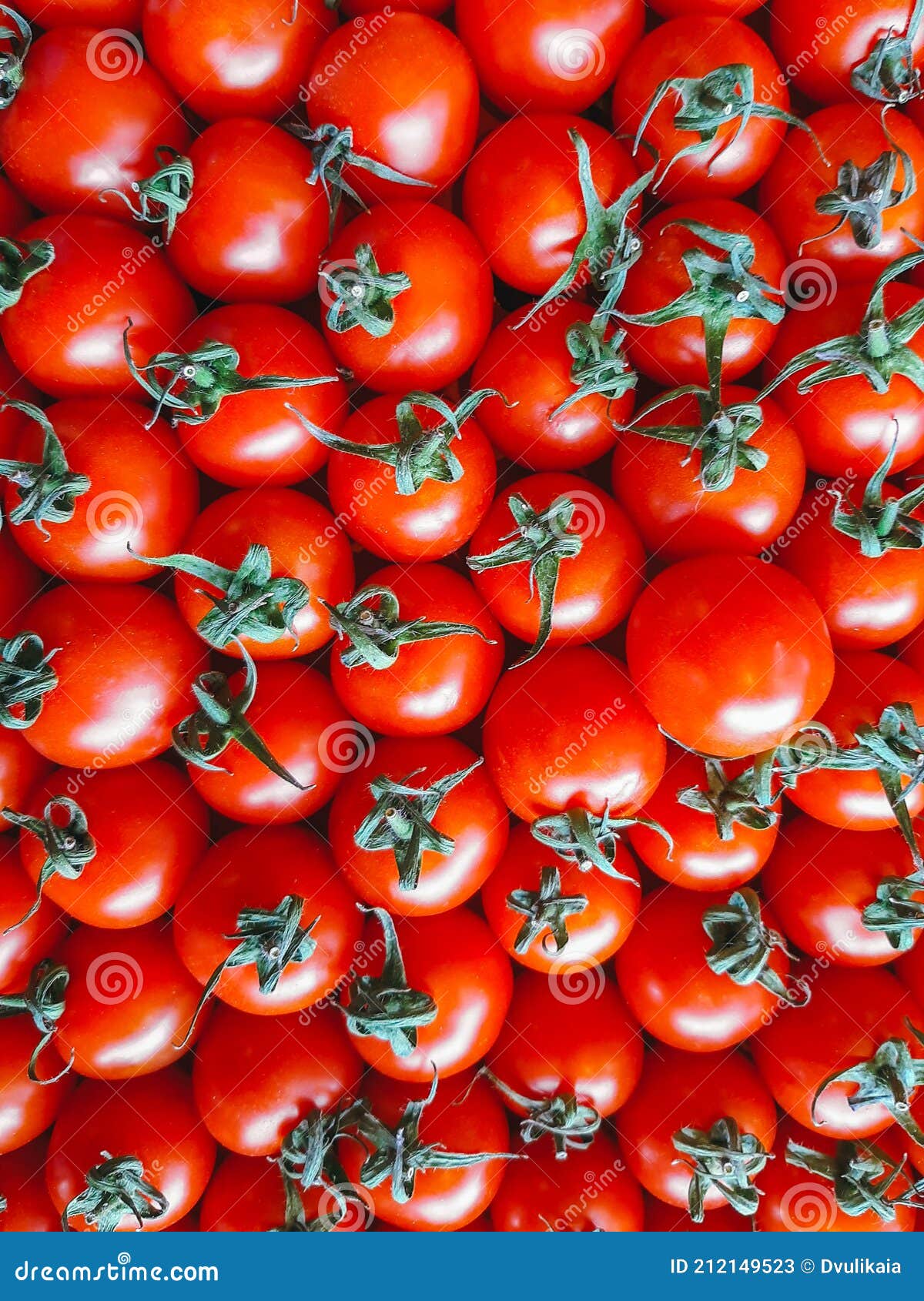 fresh red mini tomatoes rows on a local market